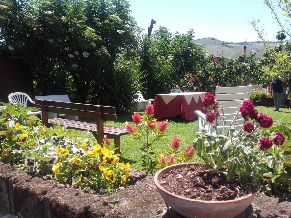 Pier Delle Vigne B&B Pineto Exterior foto